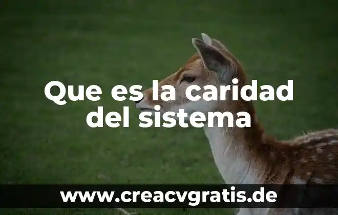 Qué es un sistema en filosofía 8 Que es la caridad del sistema