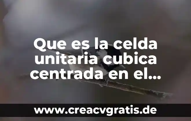 Que es el examen en casa 8 Que es la celda unitaria cubica centrada en el cuerpo