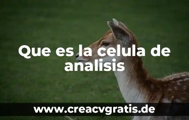Que es celula vegetal y animal 6 Que es la celula de analisis