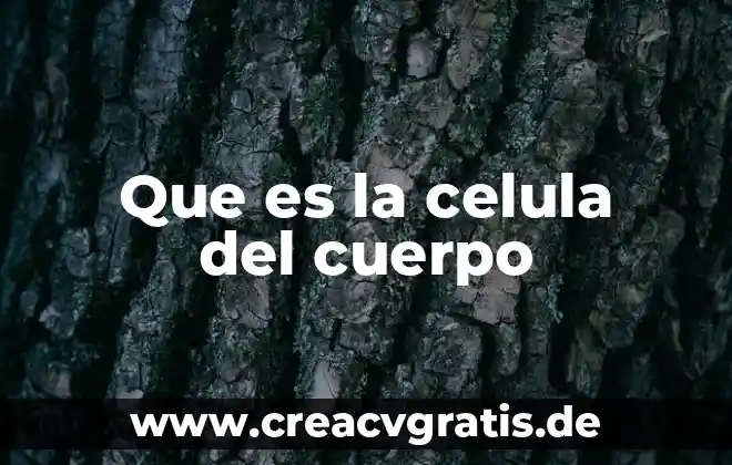 Que es la definicion del ovulo de la flor 3 Que es la celula del cuerpo