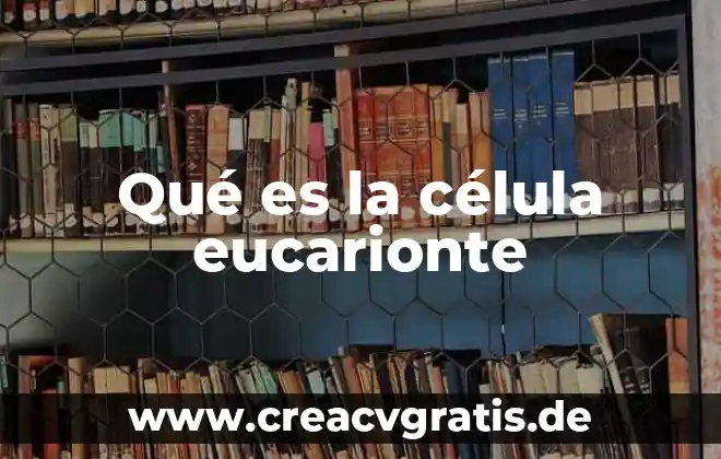 Qué es la célula productora de señal 3 Qué es la célula eucarionte