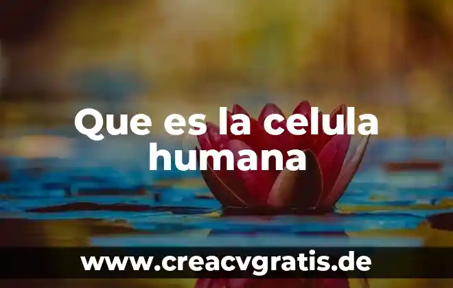 Que es una celula animal y que lo compone 8 Que es la celula humana