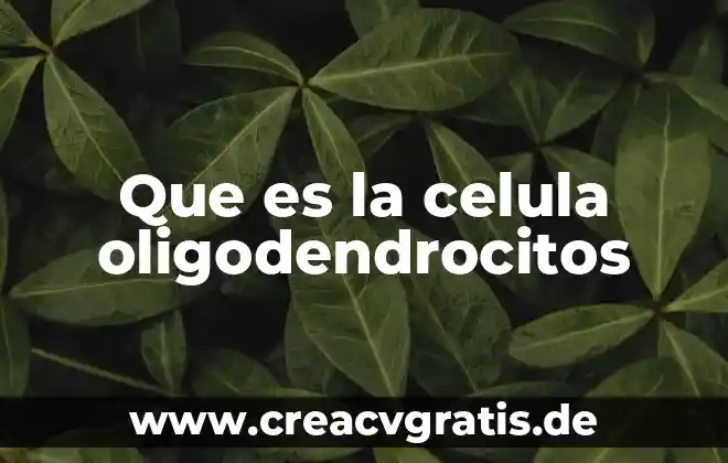 Qué es la célula productora de señal 4 Que es la celula oligodendrocitos