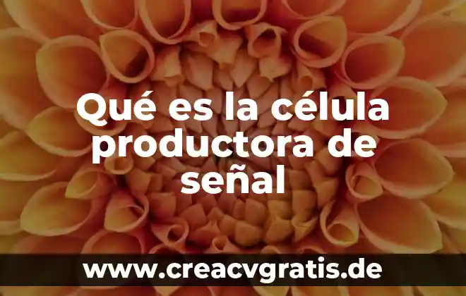 Qué es una célula meristemática en el proceso organogénico 7 Qué es la célula productora de señal