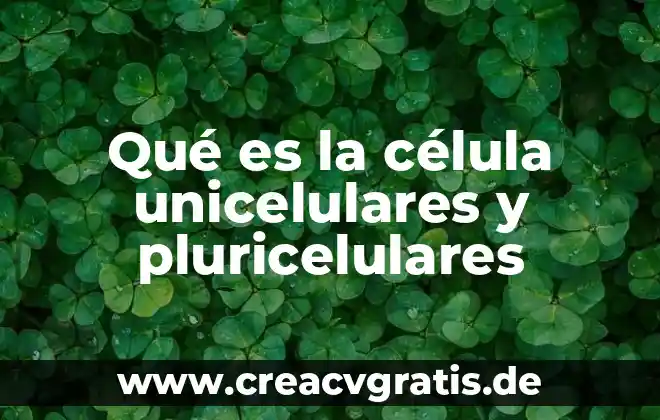 Qué es la lisosoma de la célula animal 7 Qué es la célula unicelulares y pluricelulares