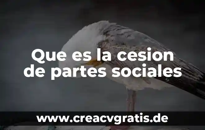 Que es cesion de derechos comerciales 4 Que es la cesion de partes sociales