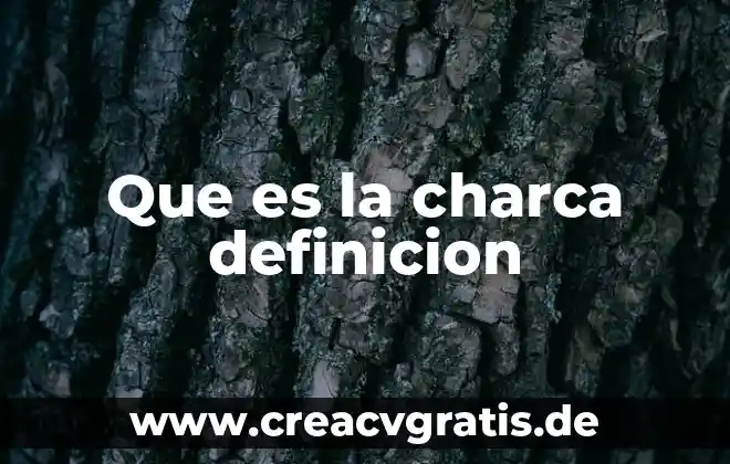 Que es el icon definicion 6 Que es la charca definicion