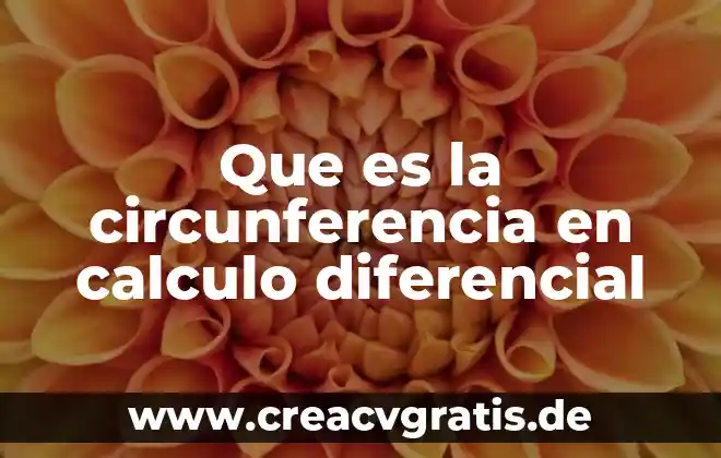 Que es el sol de la ecuación diferencial 3 Que es la circunferencia en calculo diferencial