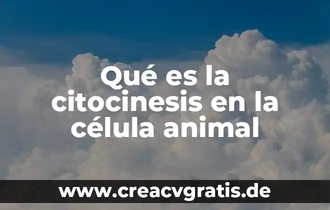 Que es el animal babosa 7 Qué es la citocinesis en la célula animal