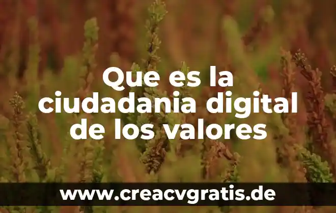Que es señal digital y analoga 6 Que es la ciudadania digital de los valores