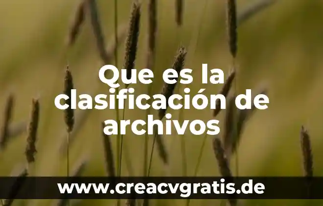 Que es inflación sus consecuencias causas y tipos 8 Que es la clasificación de archivos