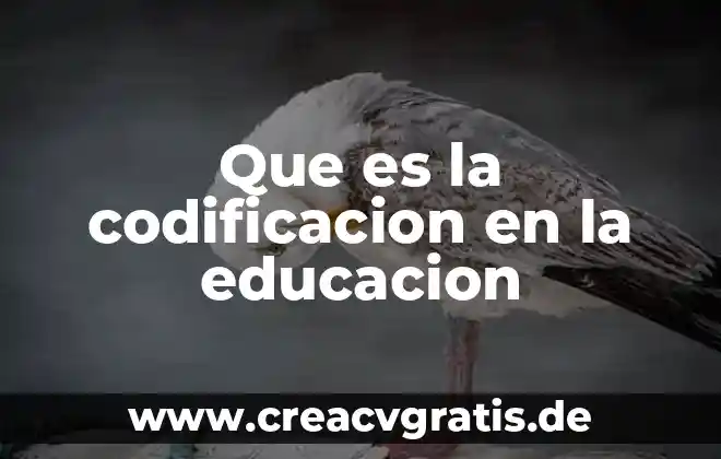 Qué es el fonetismo en educación 3 Que es la codificacion en la educacion