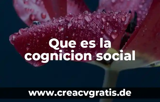 Denominación o razón social que es 5 Que es la cognicion social