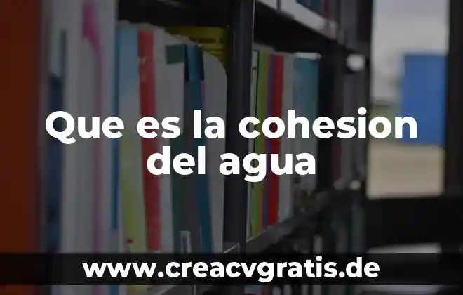 Que es la fuerza de cohesion del agua 4 Que es la cohesion del agua