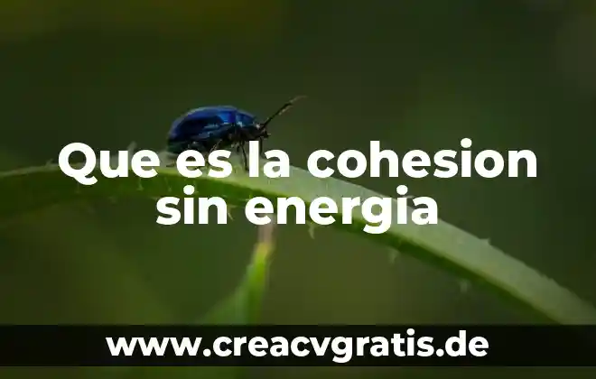 Que es la fuerza de cohesion del agua 3 Que es la cohesion sin energia