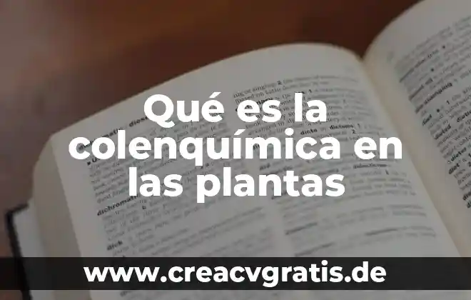 Que es apice en las plantas 7 Qué es la colenquímica en las plantas