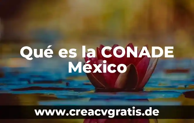 Que es un pelele en mexico 8 Qué es la CONADE México
