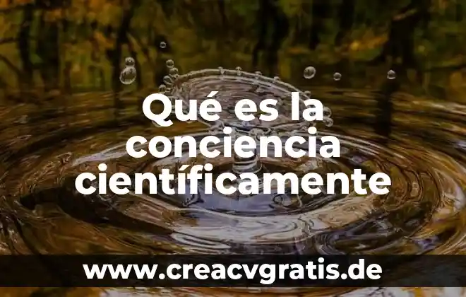 Que es la estadia en el c.b.t lic julian 5 Qué es la conciencia científicamente