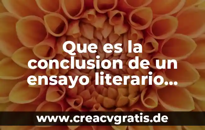 Que es el precio del dinero ejemplo 8 Que es la conclusion de un ensayo literario ejemplo
