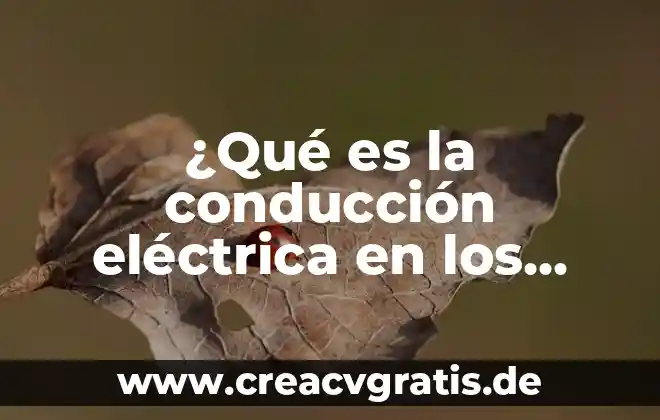 Que es conduccion de agua potable 3 ¿Qué es la conducción eléctrica en los sólidos?