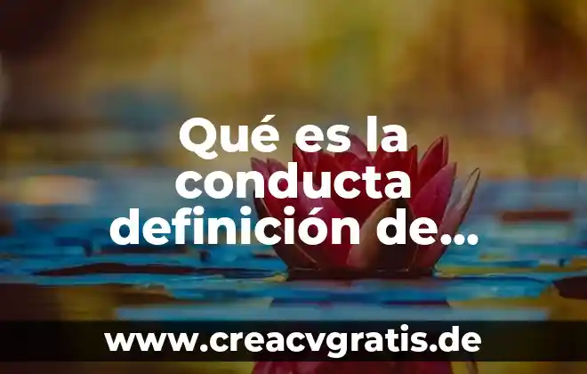 Qué es Progente definición 8 Qué es la conducta definición de algún autor