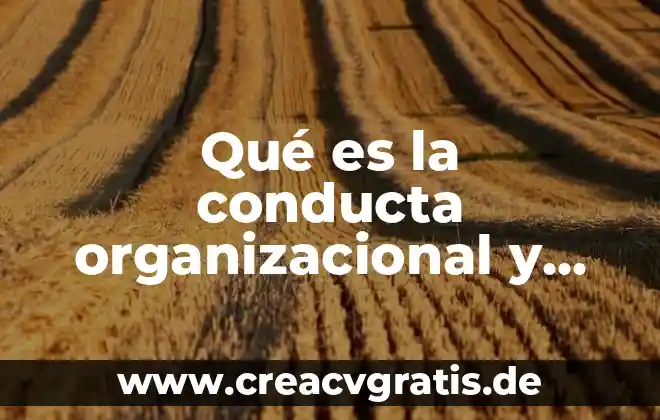 Que es una conducta segura 6 Qué es la conducta organizacional y como la usamos