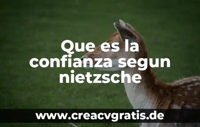 Que es una hoja de calculo y tipos inform 5 Que es la confianza segun nietzsche