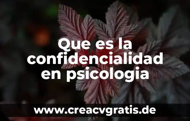 Que es el conflixto y conciliacion en la psicología social 7 Que es la confidencialidad en psicologia