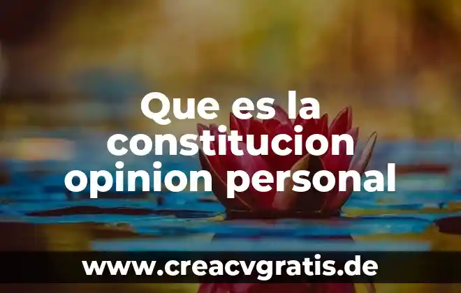 Según Jung qué es el inconsciente personal 3 Que es la constitucion opinion personal