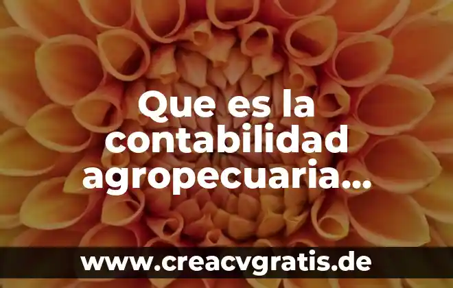 Que es ser superficial yahoo 4 Que es la contabilidad agropecuaria yahoo