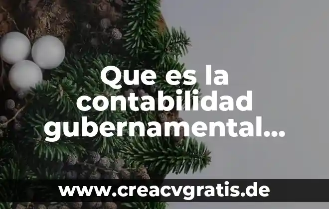 Qué es un programa gubernamental significa 5 Que es la contabilidad gubernamental yahoo