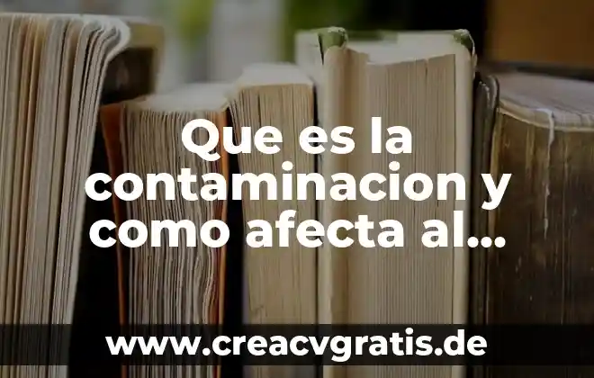 Que es un ambiente globalizado 6 Que es la contaminacion y como afecta al medio ambiente