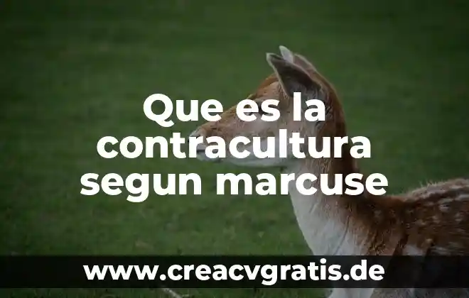 Qué es un ácido y una base teoría de lewis 7 Que es la contracultura segun marcuse