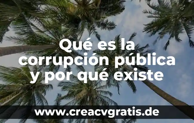 Que es la via publica y sus partes 3 Qué es la corrupción pública y por qué existe