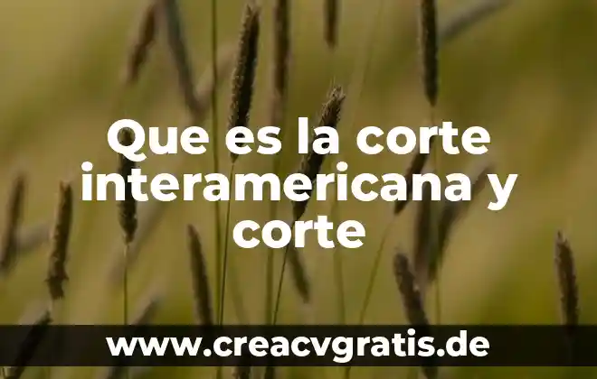 Qué es el pleno de la Suprema Corte de Justicia 7 Que es la corte interamericana y corte