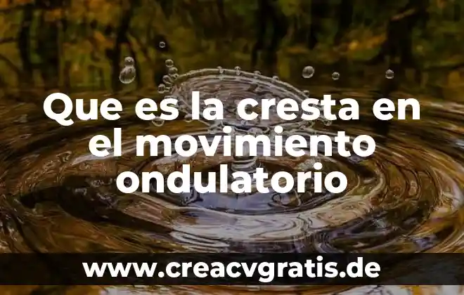 Que es un sol en finacke 3 Que es la cresta en el movimiento ondulatorio