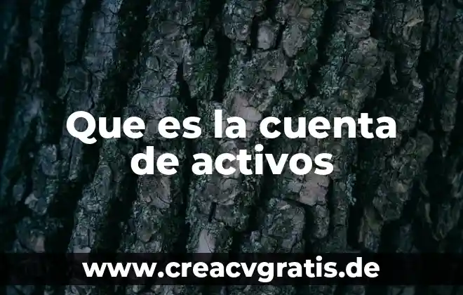Que es un software educativo tesis 5 Que es la cuenta de activos
