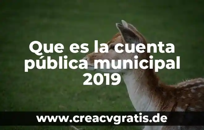 Qué es un órgano de la administración pública 4 Que es la cuenta pública municipal 2019