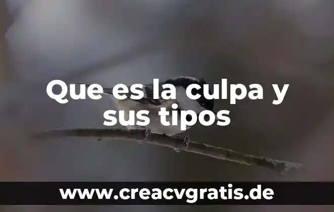 Que es una funcion en excel y tipos 3 Que es la culpa y sus tipos