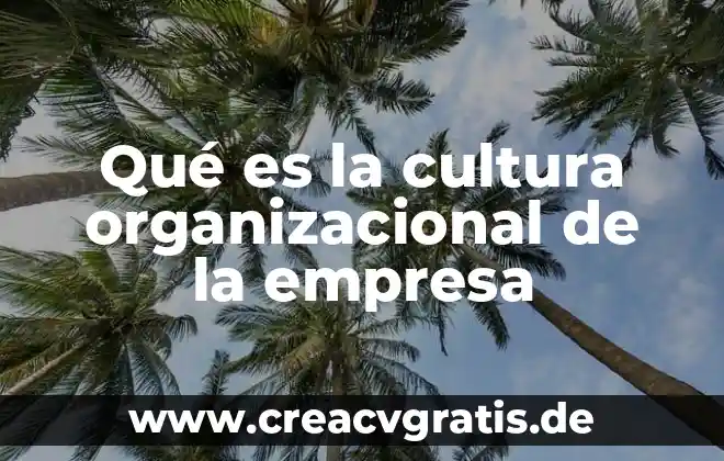 Que es sistemas de la empresa 3 Qué es la cultura organizacional de la empresa