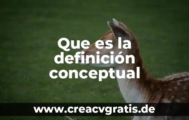 Qué es intruso definición y significado 6 Que es la definición conceptual