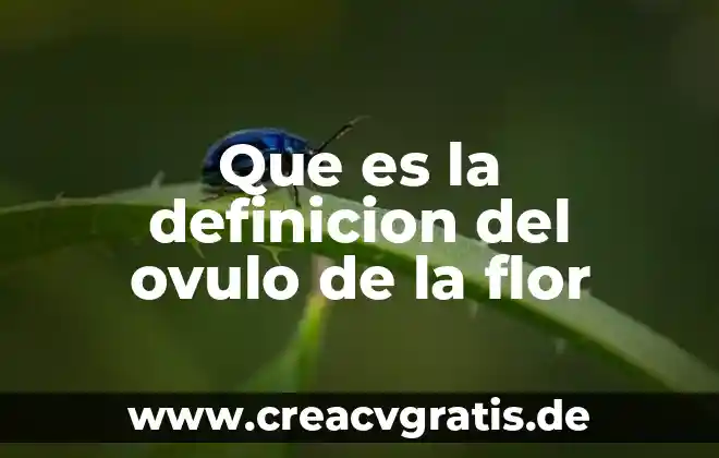 Que es un texto dciisibo 4 Que es la definicion del ovulo de la flor