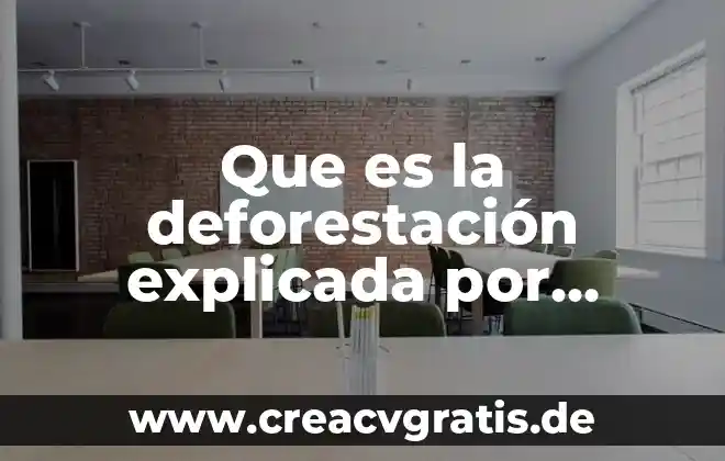 Que es significa palabra prolongada 3 Que es la deforestación explicada por niños
