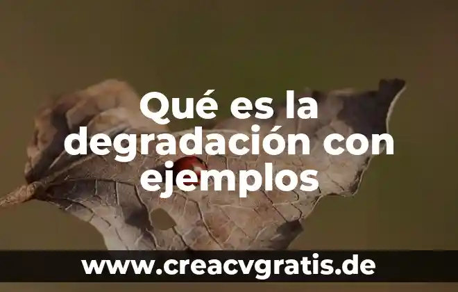 Que es signo ciencias de la salud ejemplos 4 Qué es la degradación con ejemplos