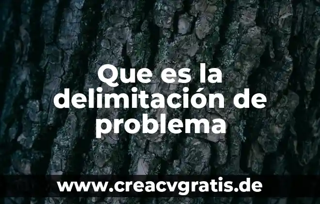Qué es elimitación delimitación de recursos 8 Que es la delimitación de problema