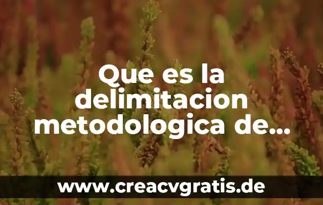 Que es la delimitación de problema 6 Que es la delimitacion metodologica de un proyecto de investigacion