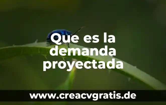 Que es demanda de dinero en economia 3 Que es la demanda proyectada