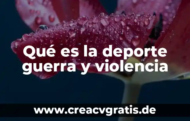 Que es la guerra que tipos existen en el mundo 6 Qué es la deporte guerra y violencia