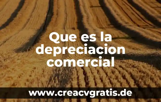 Que es es proveedor comercial 5 Que es la depreciacion comercial