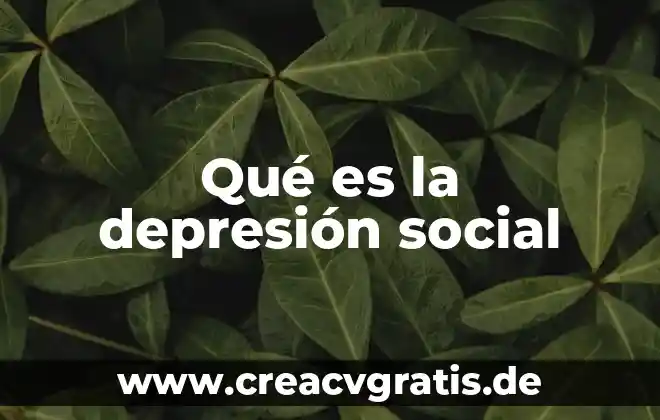 Denominación o razón social que es 3 Qué es la depresión social